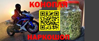 ECSTASY Нальчик