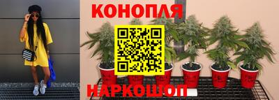 ECSTASY Нальчик