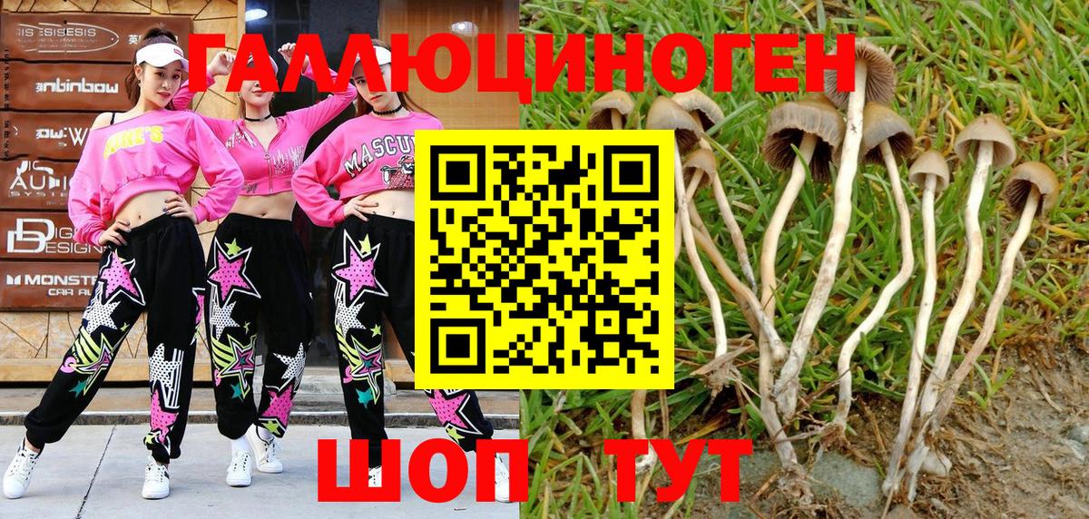 Псилоцибиновые грибы GOLDEN TEACHER Усинск